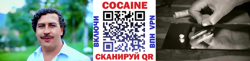 купить закладку  Елизово  Кокаин Боливия 