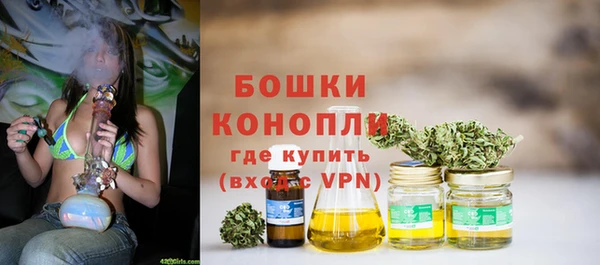 бошки Дмитров