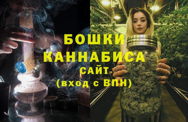 бошки Дмитров