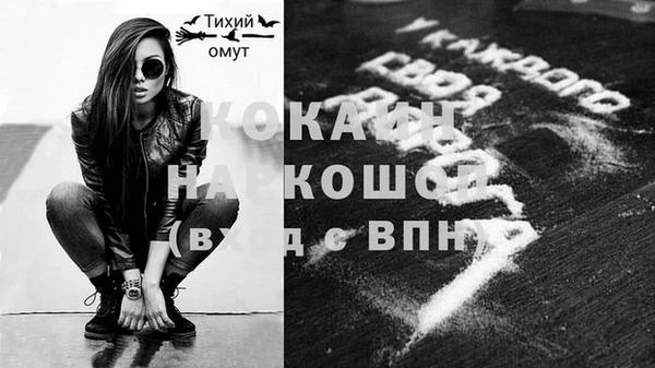 бошки Дмитров