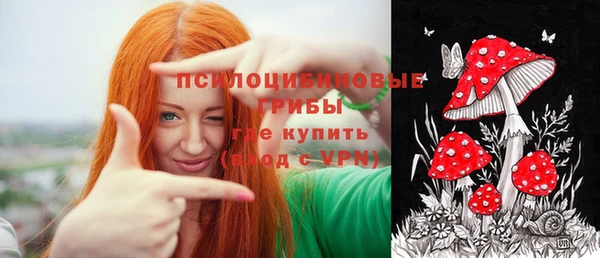 мдпв Дмитровск