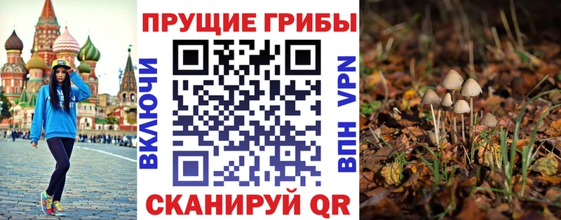 MEGA зеркало  Елизово  Псилоцибиновые грибы Psilocybine cubensis 