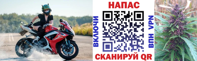ОМГ ОМГ ТОР  где продают наркотики  Елизово  Конопля Amnesia 